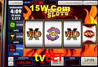 tvbet - User Statistics